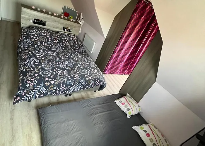 Conforts Climatisees **24 Du Mans** Проживание в семье